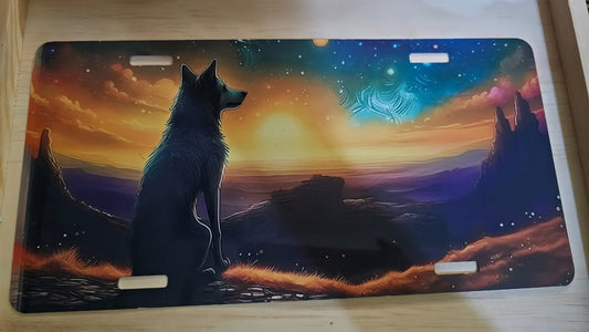 license plate