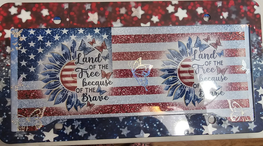 Red, White and blue license plate with cover